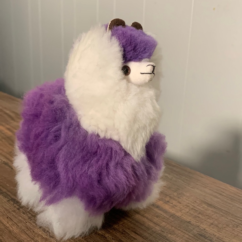 Brand new purple striped alpaca